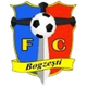 波哥泽斯特logo